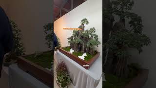 Trophy Bonsai Exhibition in Daejeon 🇰🇷 food adventure bonsaitree exhibition viralshorts2024 [upl. by Schulze964]