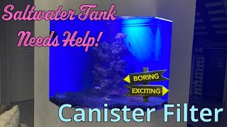 Saltwater Tank with canister filter [upl. by Casandra]