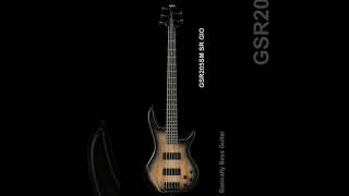 Ibanez Bass Lineup 2024 SR Gio basicallybassguitar ibanez ibanezbass [upl. by Nauwaj]