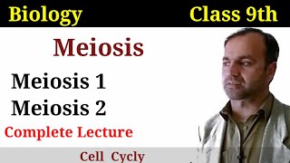 Meiosis class 9  Meiosis 1  Meiosis 2  phases of meiosis [upl. by Ced]