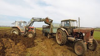 Akcja quotOBORNIKquot na cztery ciągniki i orka na 12 skib  Ursus Zetor MTZ New Holland [upl. by Mastic63]