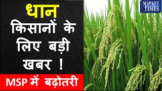 धान किसानों के लिए बड़ी खबर  Big news for paddy farmers dhaan rice paddy kissan [upl. by Mcdougall35]