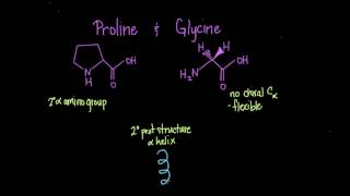 Special Cases Histidine Proline Glycine Cysteine [upl. by Lorilyn]