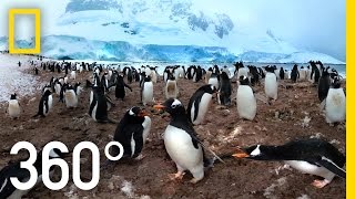 360° Antarctica  Unexpected Snow  National Geographic [upl. by Vorfeld]