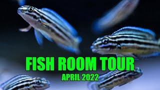 Fish Room Tour Update  LOTS of new fry April 2022 [upl. by Enelrahs]