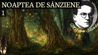 NOAPTEA DE SÂNZIENE  MIRCEA ELIADE  audiobook [upl. by Iclek]