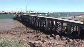 Port Augusta Tides [upl. by Eiramlehcar]