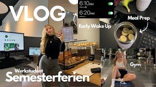 Vlog  6am morning routine  Semesterferien  werkstudent  worklife balance [upl. by Urbain]