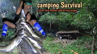 Bermalam jauh di hulu sungai panen ikan mahser Tuo Tuo part2 [upl. by Oniliuqnart]