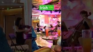 Irish Music Violin amp Cello violinlife Brisbane Violinist [upl. by Gnouh]