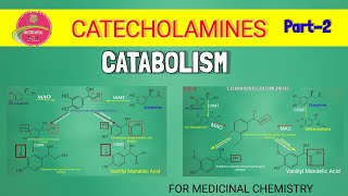 CATABOLISM  CATECHOLAMINES  METABOLISM  Medicinal Chemistry1 Part2 ConclusionPoint [upl. by Llibyc354]