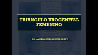 TRIANGULO UROGENITAL FEMENINO DR MARCELO CORTEZ [upl. by Rhianna]