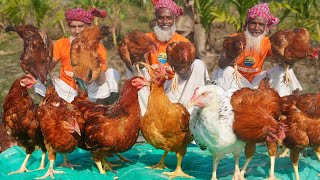 Tiger Chicken Biriyani  Giant Size Country Chicken Cooking  Morog Pulao Recipe of Grandpa [upl. by Schecter]