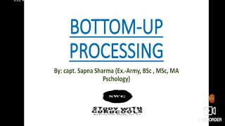 Bottomup Processing [upl. by Shurlock124]