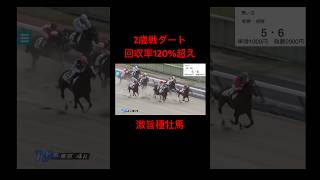 【競馬】2歳戦ダート。ベタ買いしても回収率120超え‼️激旨種牡馬【競馬検証】 競馬 競馬検証 ウマ娘 リバティアイランド [upl. by Izzy425]