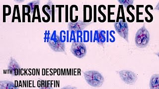 Parasitic Diseases Lectures 4 Giardiasis [upl. by Ellevart]