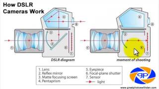 How DSLR Cameras Work [upl. by Lipcombe]