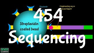 454 Sequencing  Pyrosequencing  Roche Sequencing  Roche 454 [upl. by Eiggep124]