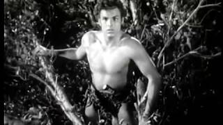 King Kong Evolution in Movies amp TV Shows  Facts 19332024 [upl. by Adalbert]