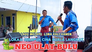 NEO ULAT BULU  KIBOT ULAT BULU  LIMA KALI KAWIN [upl. by Lussi]