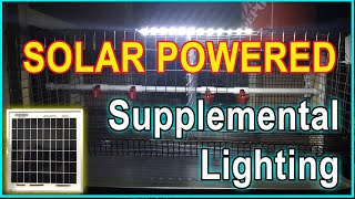 Solar Powered Supplemental Lighting  For your Coturnix Quail Cages [upl. by Meir]