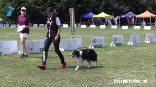 Qualifications – Priska Zimmermann  Quince Tree Cayo  Border Collie – SWITZERLAND [upl. by Otreblig]