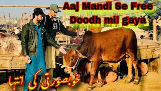 Peshawar Kala Mandi Doodh Wali Jothiyan Free Milk Hunting😂 Kala Mandi 20232024 Maweshi Mandi [upl. by Eenor]