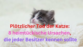 Plötzlicher Tod der Katze 8 heimtückische Ursachen die jeder Besitzer kennen sollte [upl. by Ainahs]