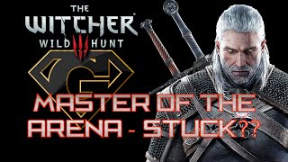 The Witcher 3  Master Of The Arena  Stuck [upl. by Murrah]