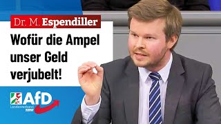 Wofür die Ampel unser Geld verjubelt – Dr Michael Espendiller AfD [upl. by Elokkin]