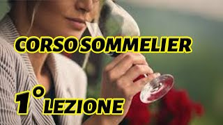 IL SOMMELIER  Corso per sommelier di 1° livello [upl. by Whale322]