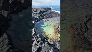 Tide Pool Treasure Hunt Real Life Moana 2 [upl. by Derej]