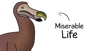 Why It Sucked to Be Born as a Dodo Bird [upl. by Silvia]