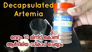 Decapsulated Artemia Malayalamആർടീമിയ ഡികാപ് ചെയ്യാം [upl. by Nylitsirk320]