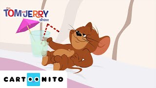 Entspannung zu Hause  Tom und Jerry  Cartoonito [upl. by Wendell]