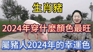 生肖屬相豬！屬豬人在2024年穿什麼顏色最旺？生肖屬豬人2024年幸運色是什麼！本期視頻講述2024生肖豬！運勢 顏色 風水 2024 [upl. by Wolfy]