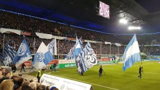 MSV Duisburg vs FC Magdeburg  Zebratwist [upl. by Aidas]