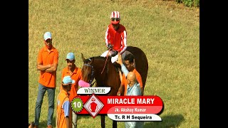 Miracle Mary with Akshay Kumar up wins The Mossy Bank Plate 2023 [upl. by Tosch]