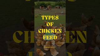 Essential Chicken Feeds for Every Stage sustainablefarming chickenfarming farming [upl. by Atsylak169]