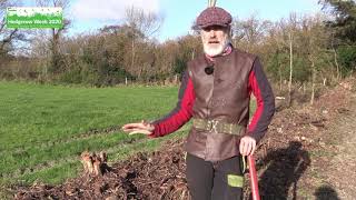 How to coppice a hedge  Hedgerow Week 2020 [upl. by Raynold488]