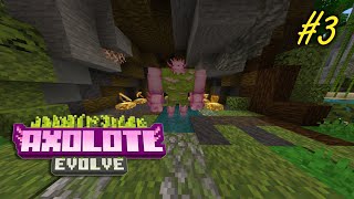 🐠¡¡AJOLOTES EN BUSCA DE 2 PORTALES DEL END💥  MINECRAFT x AXOLOTL EVOLVE 3 FINAL [upl. by Kimbra]