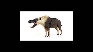 Beasts of the Mesozoic andrewsarchus prehistoricanimal prehistoric andrewsarchus [upl. by Dadinirt244]