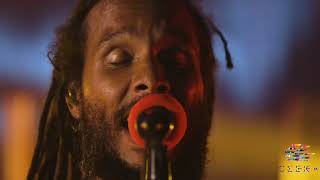 Ziggy Marley  Justice  2020 Live Stream [upl. by Alaster46]