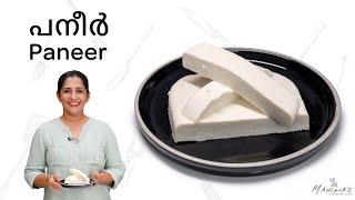 How to make Paneer Perfectly at Home  Soft Paneer  Homemade Paneer  പനീർ [upl. by Hamal266]