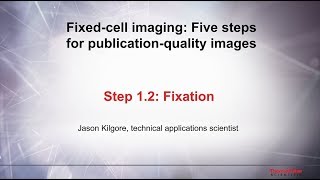 12 Fixation–Fixed cell imaging 5 steps for publicationquality images [upl. by Rotciv]