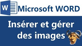 Insérer et gérer des images sous Microsoft Word 2007 2010 [upl. by Lomax]