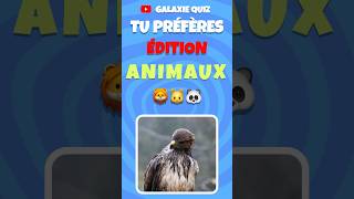 🐾 Tu préfères Édition Animaux 🐶🦁🐱 animaux tupreferes shorts [upl. by Leksehcey]