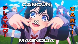 ⚠️EXPLICIT⚠️Cancun X Magnolia Mashup Remix  Playboi Carti SEGA [upl. by Toor]