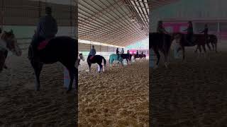 We need to start a drill team fyp horse equestrianculture equineathlete horsecommunity [upl. by Sadowski]