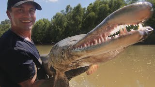 CE POISSON EST UN DINOSAURE VIVANT   Cyril Chauquet [upl. by Atir]